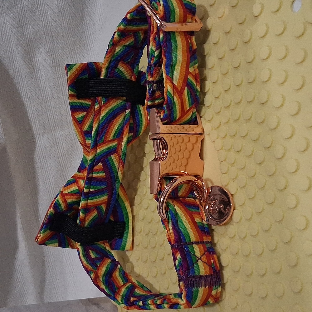 Rainbow Large DOG collar With A BOW TIE